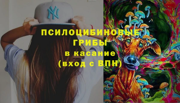 бошки Алексин