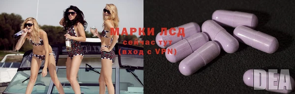 прущие грибы Покровск