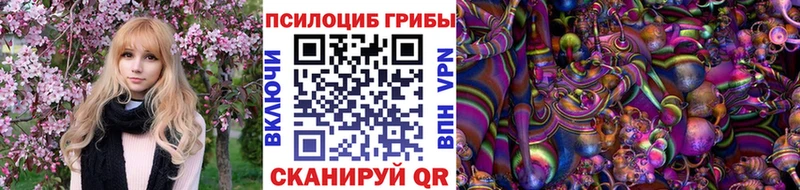 Псилоцибиновые грибы GOLDEN TEACHER  darknet Telegram  Нижний Тагил  сколько стоит 