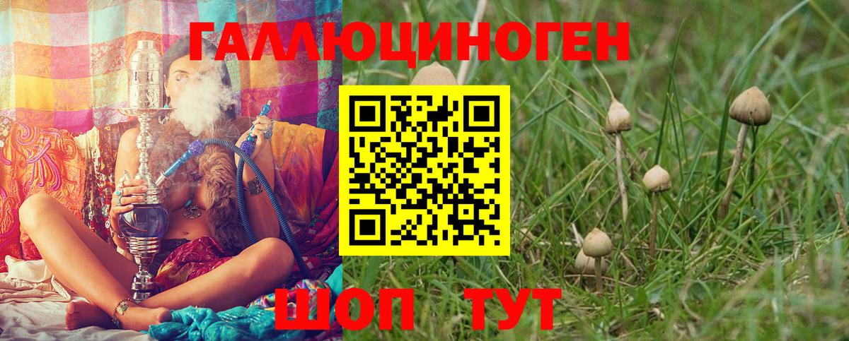 Нижний Тагил  Псилоцибиновые грибы прущие грибы  Вход с VPN 