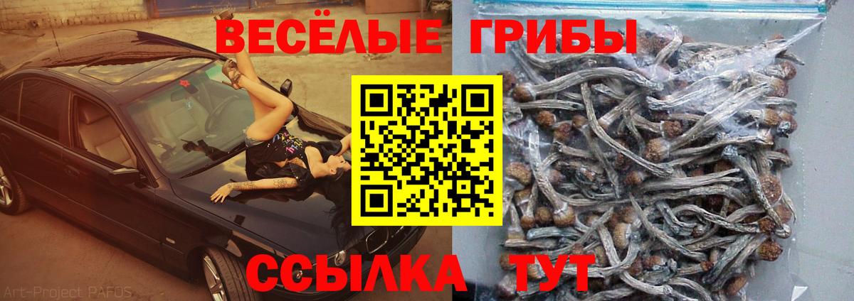 Псилоцибиновые грибы GOLDEN TEACHER Нижний Тагил
